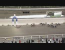 2021年11月27日高知競馬4R レディスジョッキーズシリーズ高知第２戦(C2-2組) ダノンユニヴァース