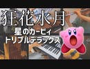 【和楽器と】狂花水月アレンジカバー【星のカービィ】