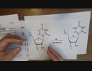 ［再］ファイザーワクチンで強い副反応が起こる理由