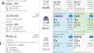 【競馬予想2021】ジャパンカップ予想