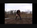 Ария - Герой асфальта　ARIA-HERO OF ASPHALT ロシアン・メタル弾いてみた