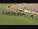 ジャパンカップ 2021.11.28(コントレイル ラストラン)