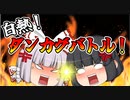 【東方ダンマクカグラ】白熱！妹紅と輝夜のダンカグバトル！【ゆっくり実況】