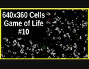 640x360 ライフゲーム #10