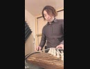 【シェンムー～シェンファ～ cover／井内竜次】和楽器で演奏してみた