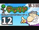 第3回『テラリア』記憶を無くしたつもりでニューゲーム　再録12