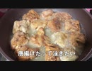 からあげだって泳ぎたい(実写版)