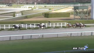 ペプチドナイル　阪神・3歳以上1勝クラス　2021年11月28日