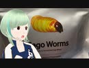 サゴワームを食うVTuber