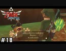 テスト勉強式ファイちゃん【ゼルダの伝説スカイウォードソードHD】#18
