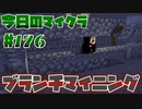 【今日のマインクラフト】～ブランチマイニング～ 【#176】