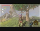 英傑ゆかりのハイリアッター動画まとめ5 BotWのカメイワ他