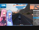 頑張って１００マイル走りたい＿13マイル