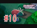 【実況】ハクタイの森でダブルバトル！【ポケモンSP】#10