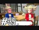 [ポケットモンスター ソード]新作の発売されたけどゆるっと実況#35