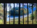 名曲さんぽ（秋川）