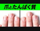 爪とたんぱく質の関係 | 管理栄養士が解説【ビーレジェンド プロテイン】