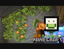 偏食きうり巻のMinecraft＋【実況】8日目