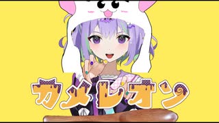 【変化】カメレオンを木のスプーンで演奏してみた