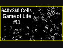 640x360 ライフゲーム #11