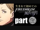 生まれて初めてのファイアーエムブレム　part65