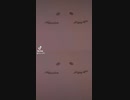 お目目イラスト（私が書いた）
