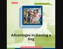 Advantages in Owning a Dog