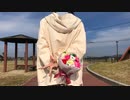 【わた誕】Lovers 踊ってみた【ひかり.】