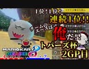 得意ステージでは負けられねえ！！連続1位で大活躍！！【 #マリカートパーズ杯 1GP 】
