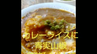 カレーライスに青実山椒美味しいけど変化に乏しいアンティークの椅子買ったよカレーライス違った華麗な椅子