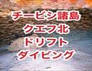 スキューバダイビング沖縄・チービシ諸島クエフ・ドリフトダイビング