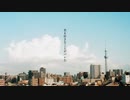 君を好きなことがバレた 歌ってみた【栞】