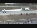 2021年11月28日高知競馬4R スモールリバー協賛 真衣ちゃん引退特別(C2・C3混合) ナムラアラシ