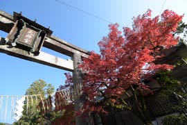 シーイーの古都京都巡り051敷地神社