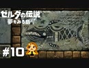【ゼルダの伝説】そんなの聞いてないよぉ゛‼‼【夢をみる島】#10