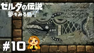 【ゼルダの伝説】そんなの聞いてないよぉ゛‼‼【夢をみる島】#10