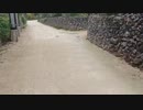 【竹富島】マリウスより愛を込めて「竹富島Day1②」