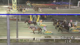 第12回ドリームエイジカップ シンザンボーイ