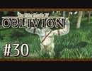実況 ◇ The Elder Scrolls IV: オブリビオン ◇ 第30幕