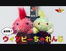 WINWIN【新企画】"ウィンピーちゃれんじ"はじまるよー！