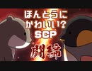 ほんとうにかわいい？SCP 第6回【SCP紹介】闘編