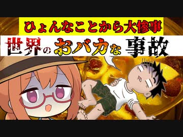 ひょんなことから大惨事、世界のおバカな事故【VOICEROID解説】