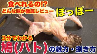 【衝撃】食用鳩(ハト)の魅力と食べ方