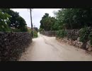 【竹富島】マリウスより愛を込めて「竹富島Day1①」