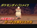 ポケモンダイパリメイク　ガーディを捕まえる方法！出現場所は？【ブリリアントダイヤモンド・シャイニングパール】
