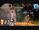 【ドラゴンズドグマ】幼女#17　モテモテ覚者ちゃん【DDDA】【ならはや】