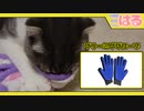 猫のお世話に「グルーミンググローブ」はいかがでしょうか。クッソいいですよ【召喚獣はる】