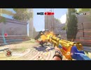 Overwatch オーバーウォッチ適当実況動画part490