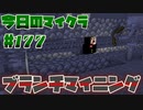 【今日のマインクラフト】～ブランチマイニング～ 【#177】