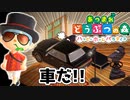 【あつまれ どうぶつの森 ハッピーホームパラダイス実況】別荘？？OK！任せて！part24